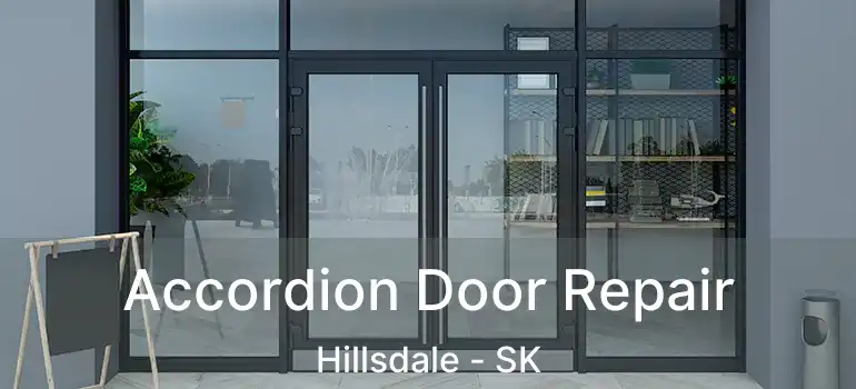  Accordion Door Repair Hillsdale - SK