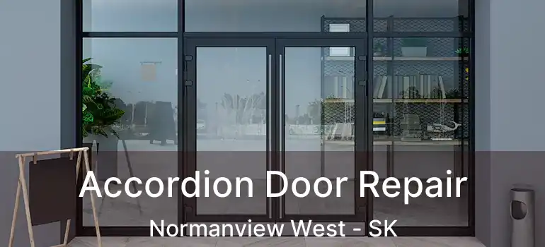  Accordion Door Repair Normanview West - SK