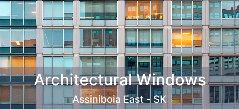  Architectural Windows Assiniboia East - SK