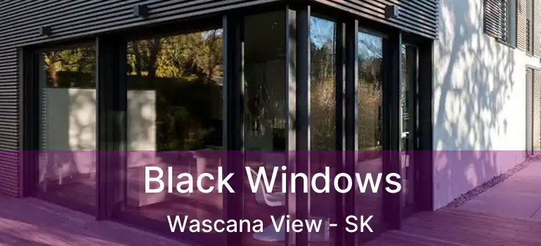  Black Windows Wascana View - SK