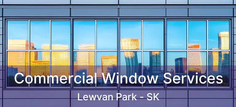  Commercial Window Services Lewvan Park - SK