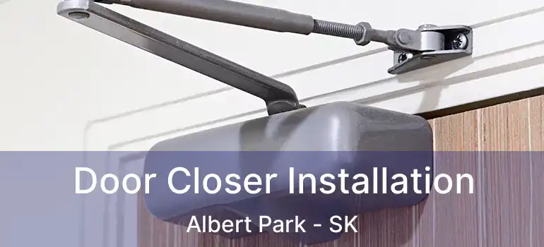  Door Closer Installation Albert Park - SK