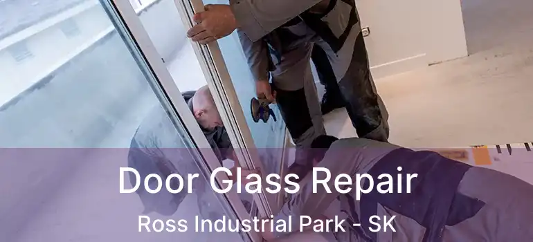  Door Glass Repair Ross Industrial Park - SK