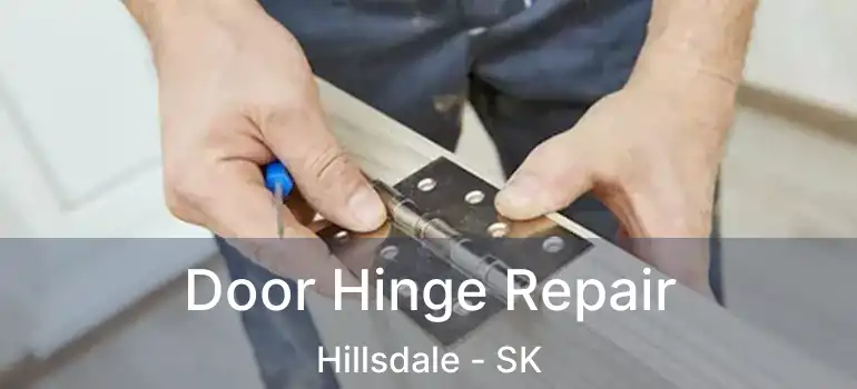  Door Hinge Repair Hillsdale - SK