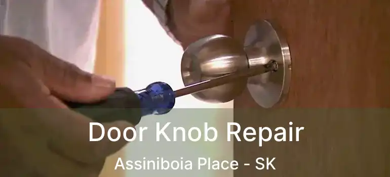  Door Knob Repair Assiniboia Place - SK