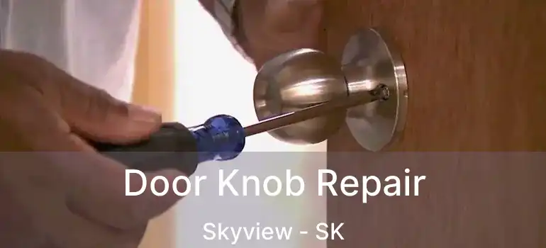  Door Knob Repair Skyview - SK