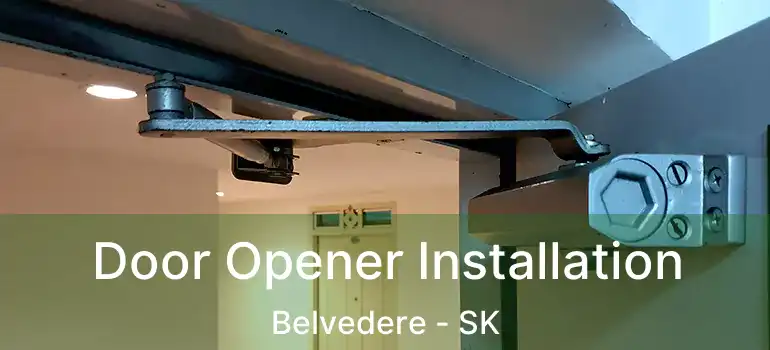  Door Opener Installation Belvedere - SK