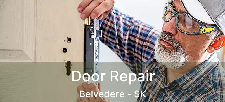  Door Repair Belvedere - SK
