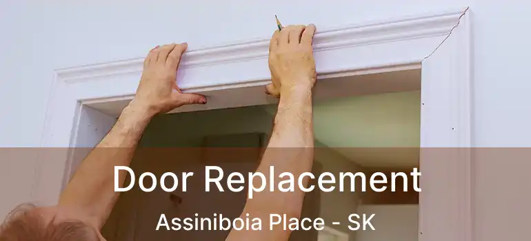  Door Replacement Assiniboia Place - SK