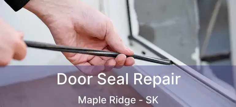  Door Seal Repair Maple Ridge - SK
