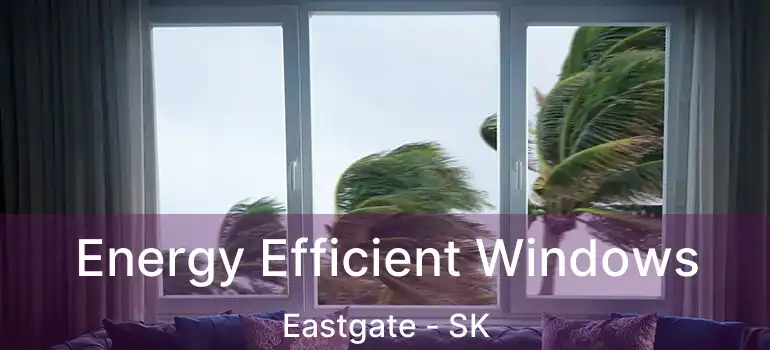  Energy Efficient Windows Eastgate - SK