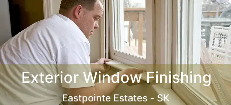  Exterior Window Finishing Eastpointe Estates - SK