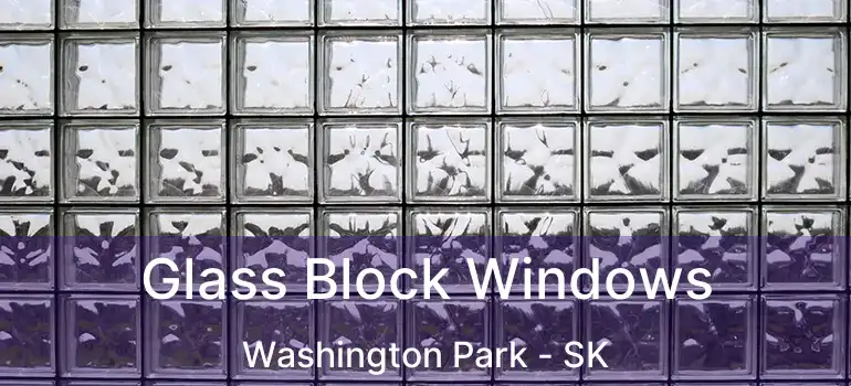  Glass Block Windows Washington Park - SK