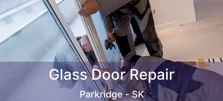  Glass Door Repair Parkridge - SK