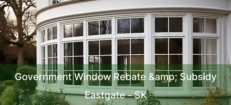  Government Window Rebate & Subsidy Eastgate - SK