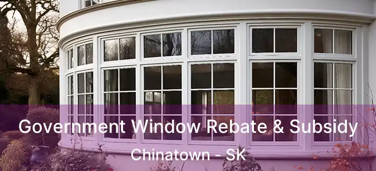  Government Window Rebate & Subsidy Chinatown - SK