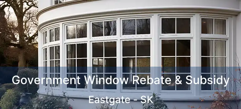  Government Window Rebate & Subsidy Eastgate - SK
