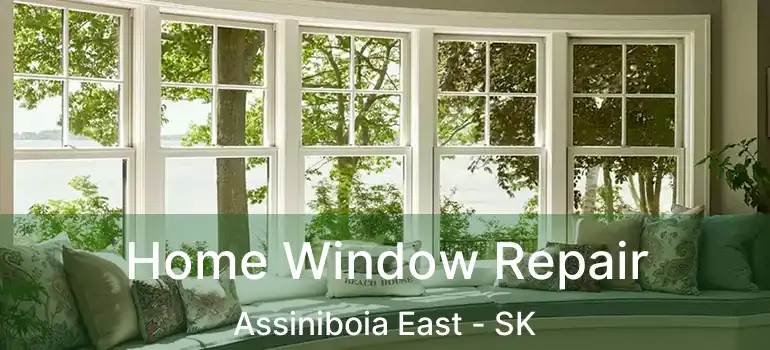  Home Window Repair Assiniboia East - SK