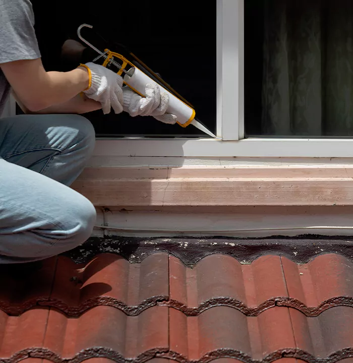 Roof Window Services in Regina, Saskatchewan