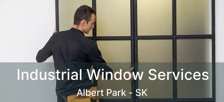  Industrial Window Services Albert Park - SK