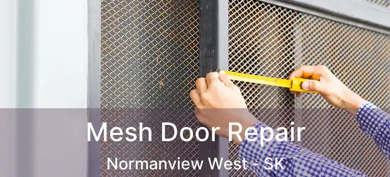  Mesh Door Repair Normanview West - SK
