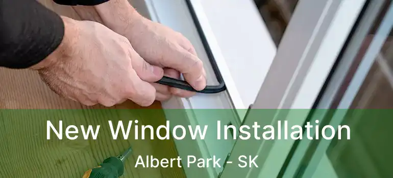  New Window Installation Albert Park - SK
