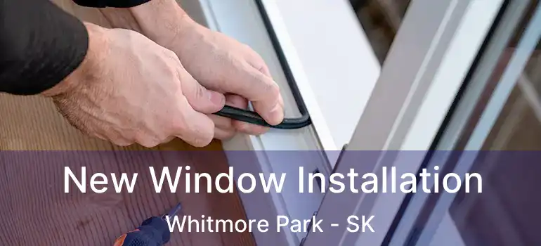  New Window Installation Whitmore Park - SK
