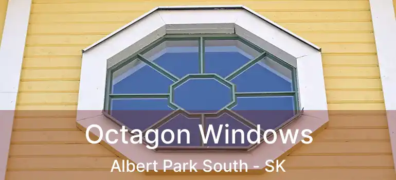  Octagon Windows Albert Park South - SK