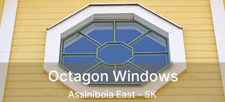  Octagon Windows Assiniboia East - SK