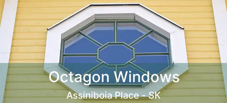  Octagon Windows Assiniboia Place - SK