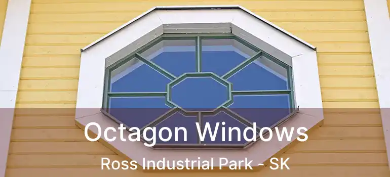  Octagon Windows Ross Industrial Park - SK