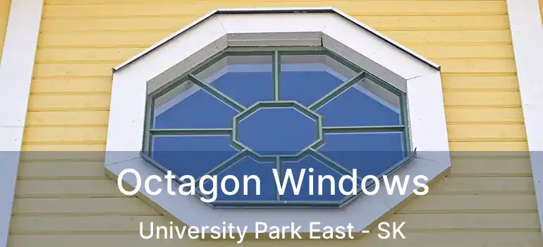  Octagon Windows University Park East - SK