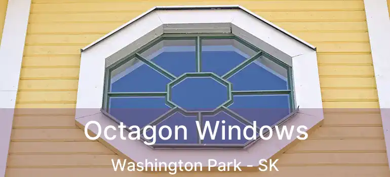  Octagon Windows Washington Park - SK