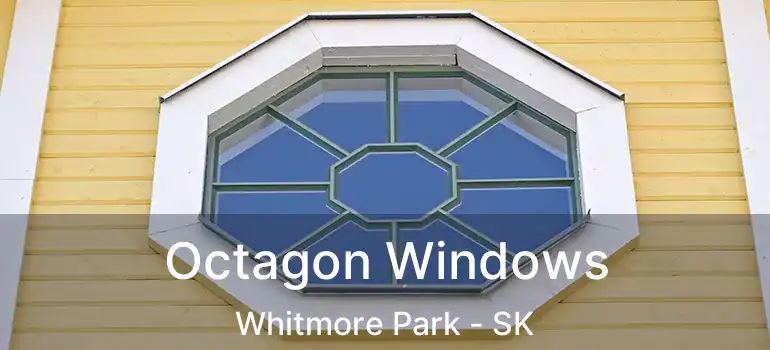  Octagon Windows Whitmore Park - SK