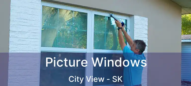  Picture Windows City View - SK