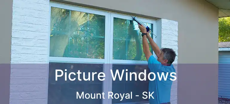  Picture Windows Mount Royal - SK