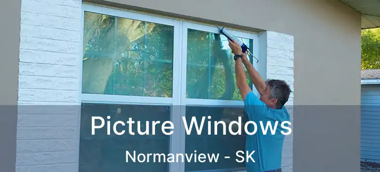  Picture Windows Normanview - SK