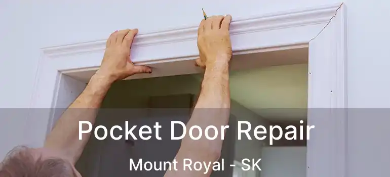  Pocket Door Repair Mount Royal - SK
