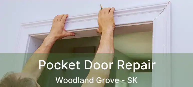  Pocket Door Repair Woodland Grove - SK