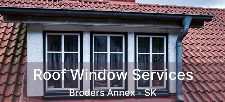  Roof Window Services Broders Annex - SK