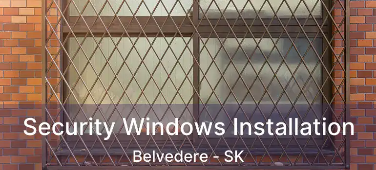  Security Windows Installation Belvedere - SK