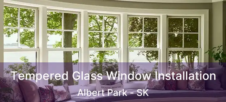  Tempered Glass Window Installation Albert Park - SK