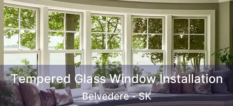  Tempered Glass Window Installation Belvedere - SK
