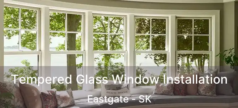 Tempered Glass Window Installation Eastgate - SK