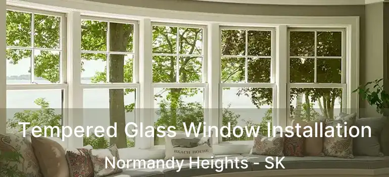  Tempered Glass Window Installation Normandy Heights - SK