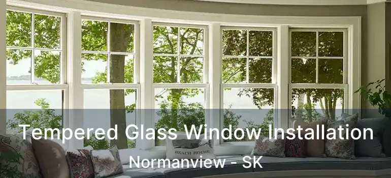  Tempered Glass Window Installation Normanview - SK