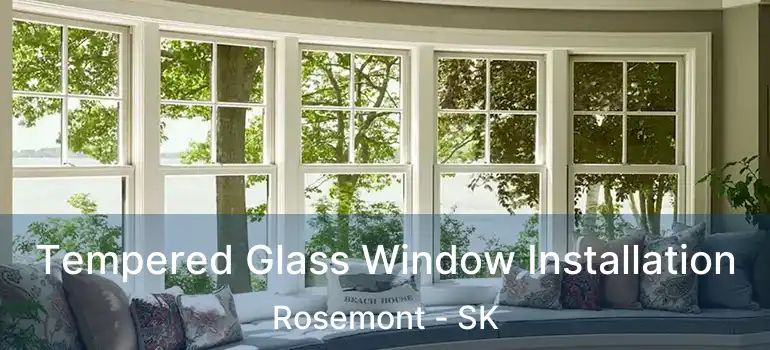  Tempered Glass Window Installation Rosemont - SK