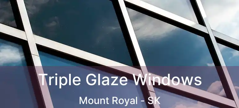  Triple Glaze Windows Mount Royal - SK