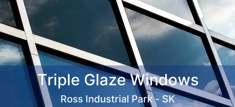  Triple Glaze Windows Ross Industrial Park - SK