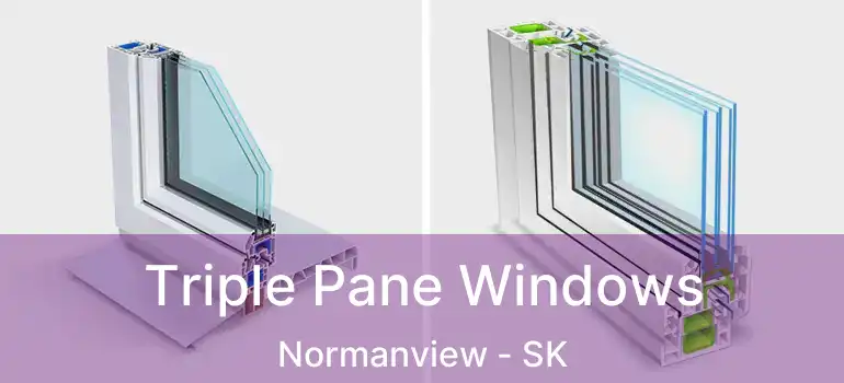  Triple Pane Windows Normanview - SK